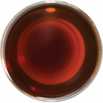 Чорний чай Англійський сніданок 50 г