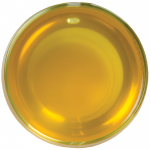 Зелений чай Зелений лимонник 50 г