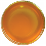 Фруктова суміш Манго та друзі 50 г